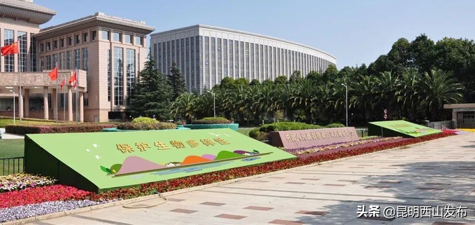 昆明立体花坛最好看的几个,美丽春城立体花坛