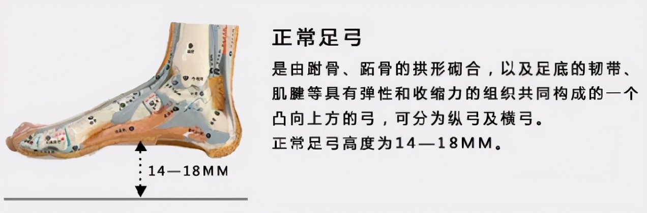 亚瑟士10公里跑鞋推荐,10公里左右耐克跑鞋推荐