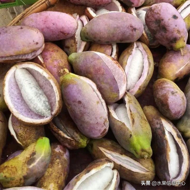 国内好吃的热带水果有哪些,小众水果推荐