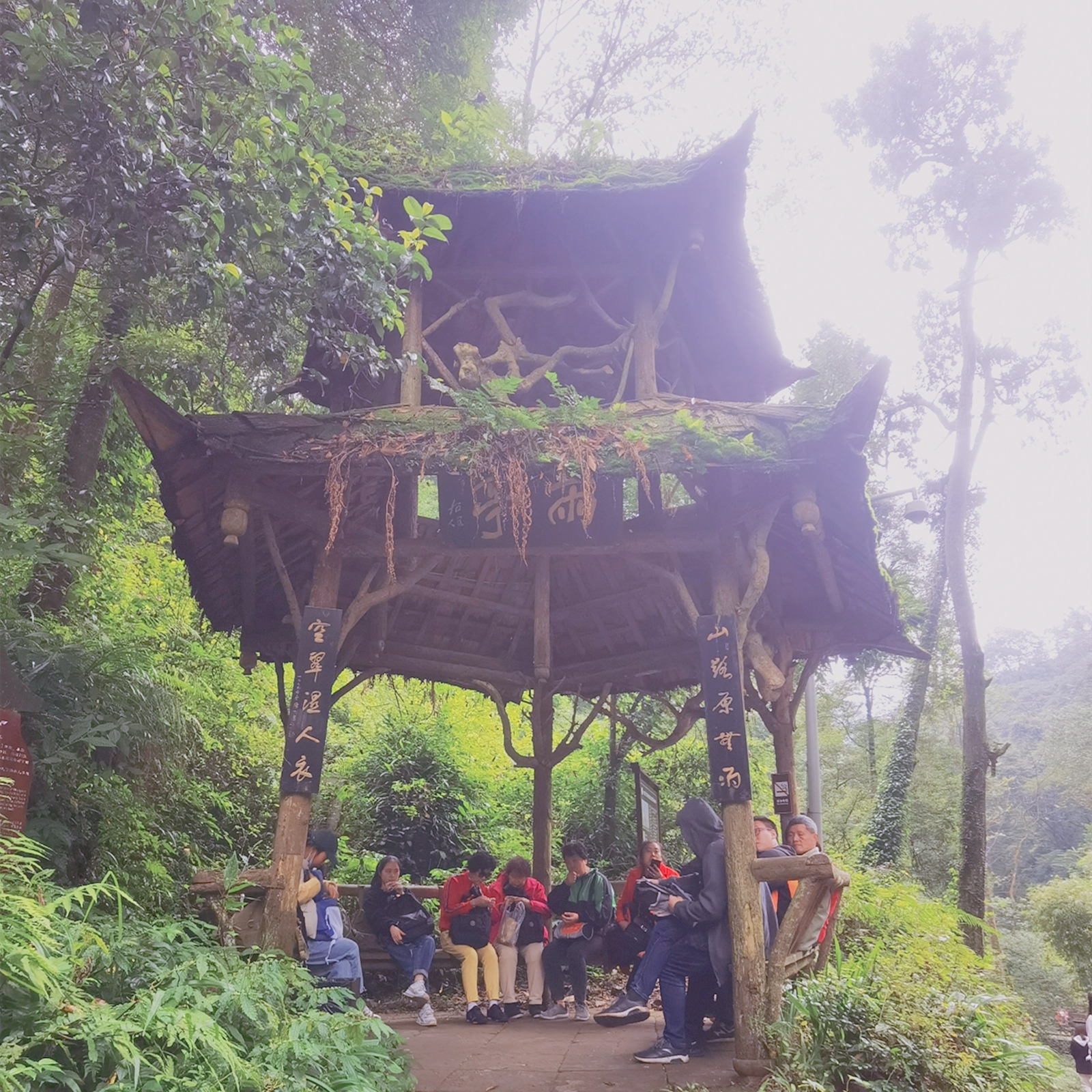 青城山有道观为什么还有鬼,道教四大名山之一青城山怎么玩