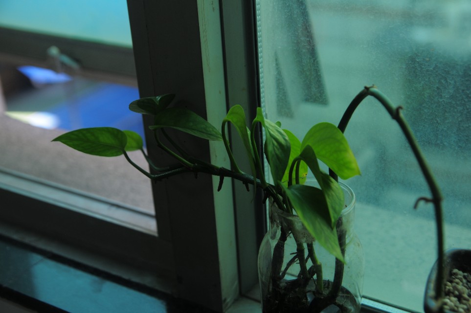 摄影小白买相机推荐,摄影小白看过来