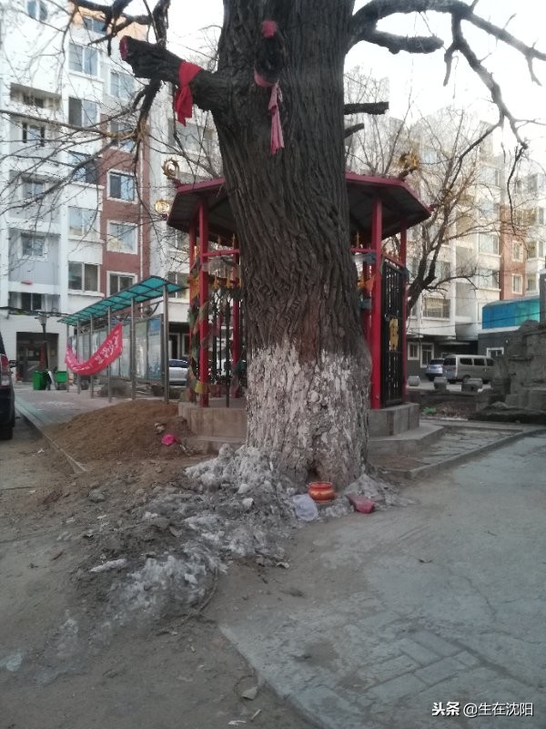 沈阳靠山寺有什么说道,这里是藏在都市周边的世外桃源