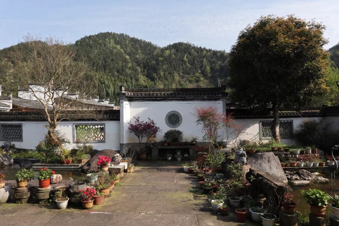 婺源清华朴园,婺源旅游攻略2日游民宿