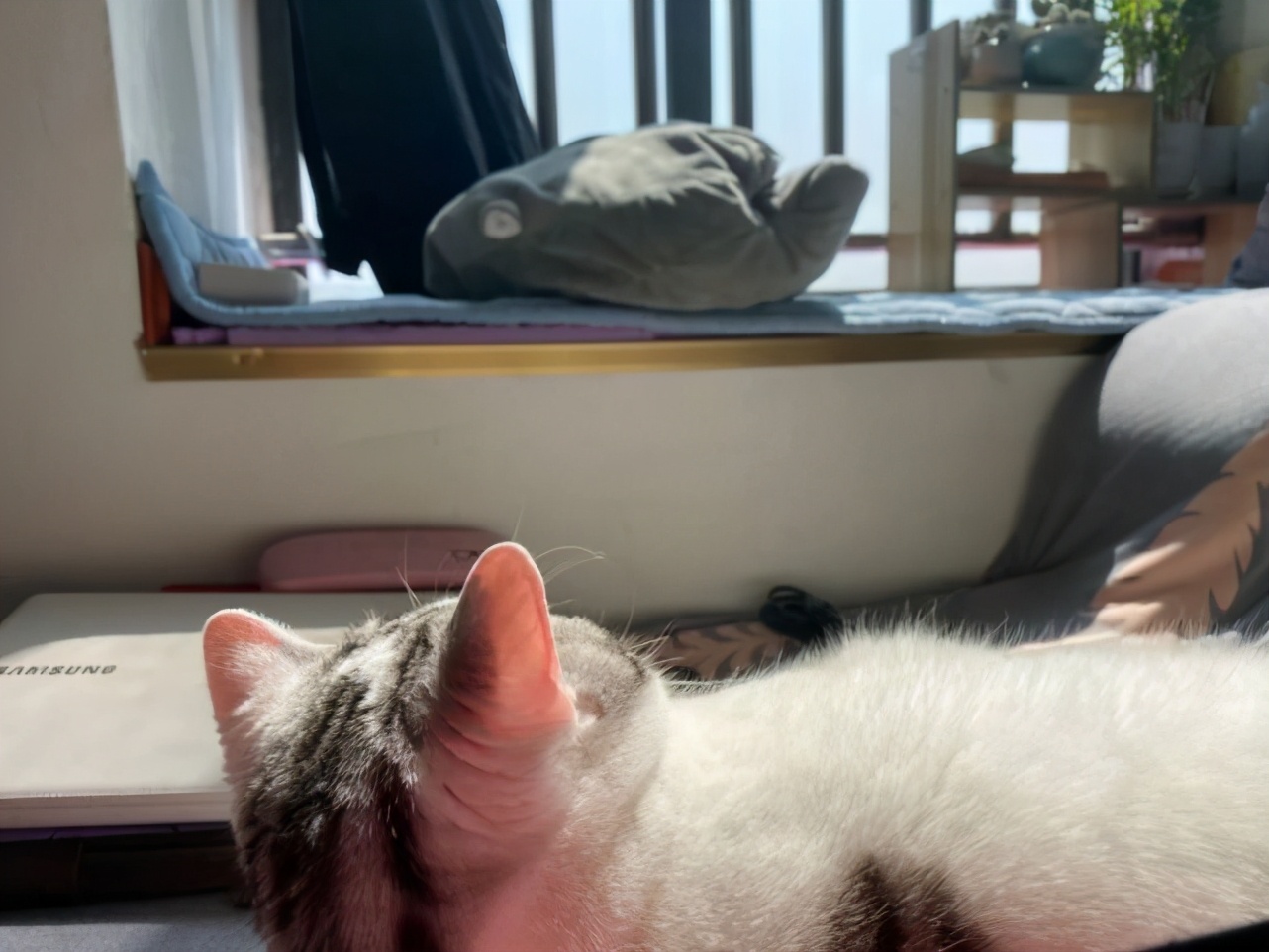 鐙眳鐨勯偅浜涗簨,鐙眳鍙戠敓鐨勯偅浜涗簨