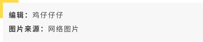 平成三十年经典动漫,平成动画大赏