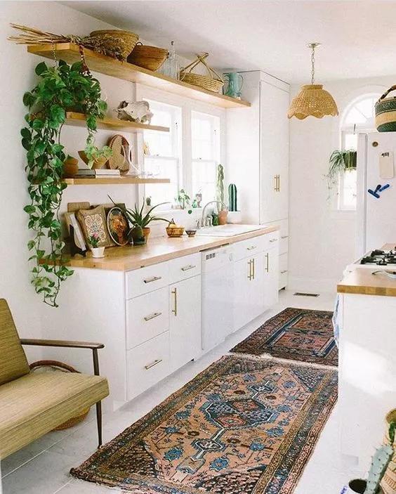 去除厨房油烟植物,家庭除油烟异味好方法