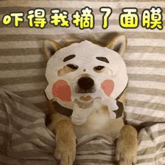 全宇宙就“宠”你，鹿茸面膜免费拿