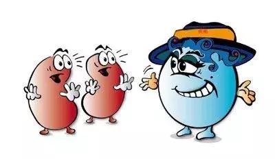 尿液呈红色就是血尿呢?真正的血尿要这样来区分