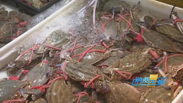 三亚海鲜市场皮皮虾多少钱一斤,海鲜市场上的皮皮虾