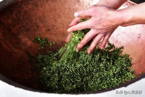 蒙顶甘露茶冲泡,蒙顶甘露与龙井的冲泡区别