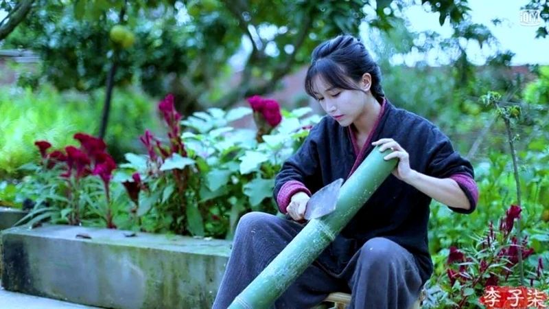 李子柒被造过哪些谣言,李子柒被写入小学语文试卷引争议