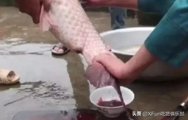 越南十大下酒菜排名,正宗的越南菜你吃过以下几样