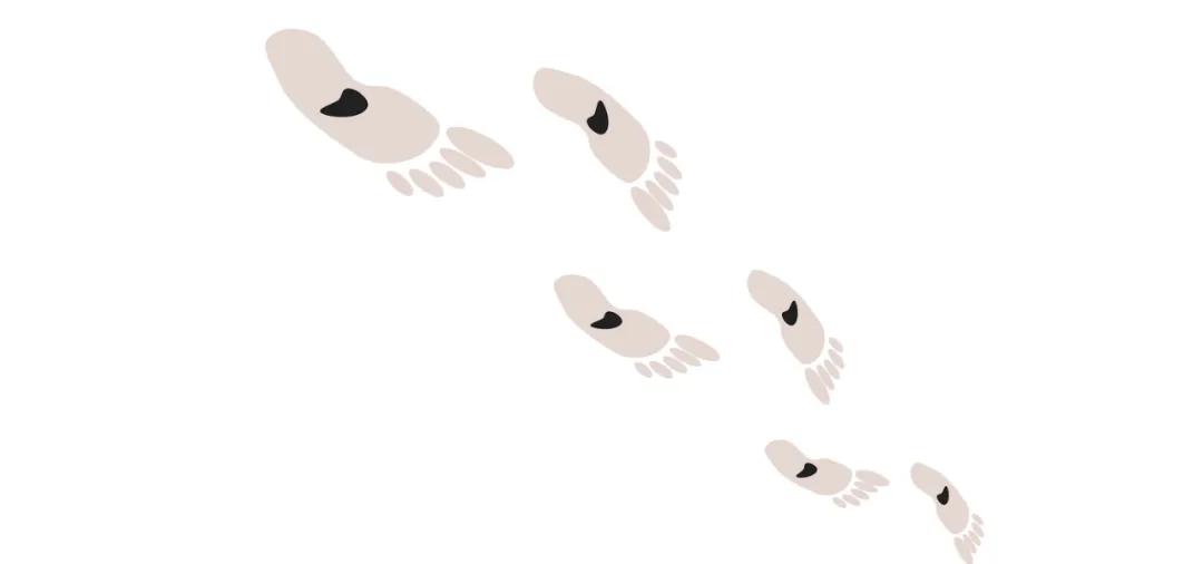 pony彩妆推荐,彩妆小众平价还好用的彩妆大盘点