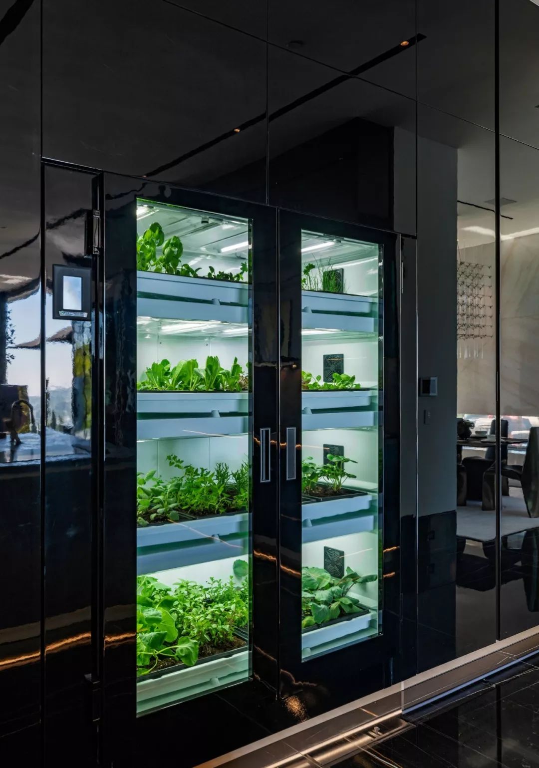 上千亿的顶级豪华别墅,最豪华的高科技别墅