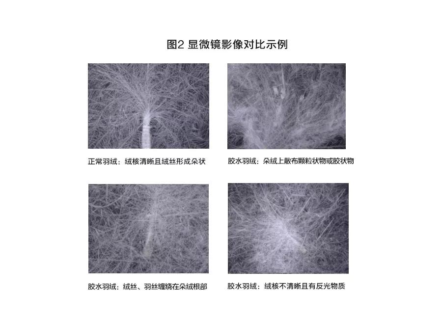 充绒量500以上的羽绒服测评,新国标防羽绒测试