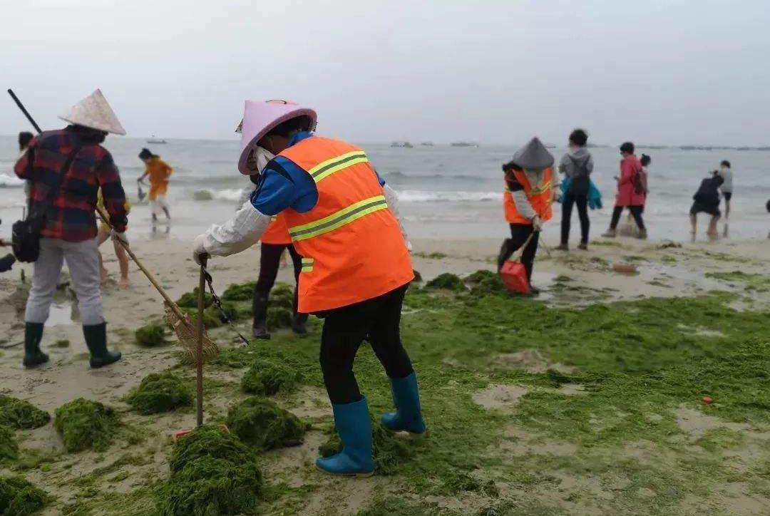 磷的科普视频,磷元素怎么发现的