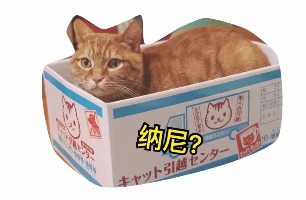 最实用猫抓板,如何挑选猫抓板