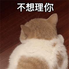 男子中暑高烧46度,中暑高烧42度抢救一天