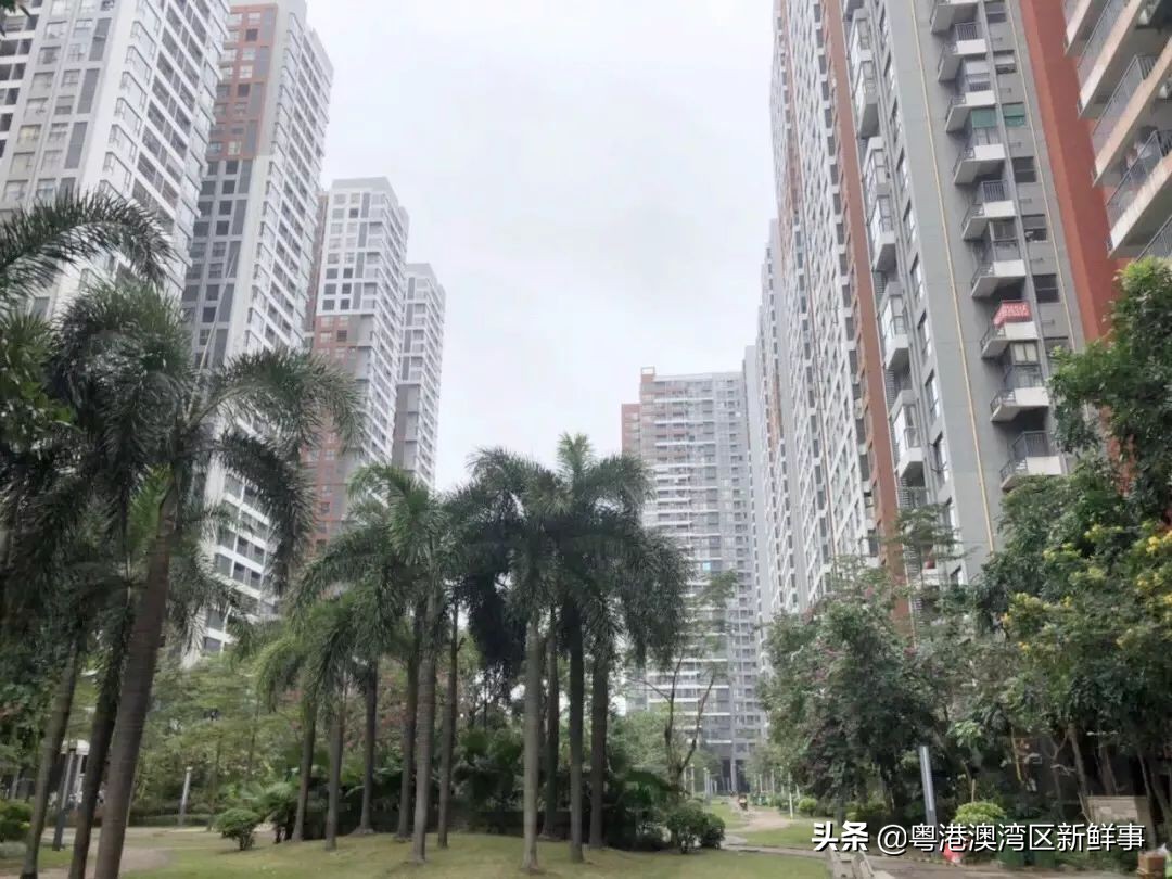 宀佹湀闈欏ソ澶氬Э澶氬僵,鑺辨牱骞村埆鏍峰煄娲嬫埧