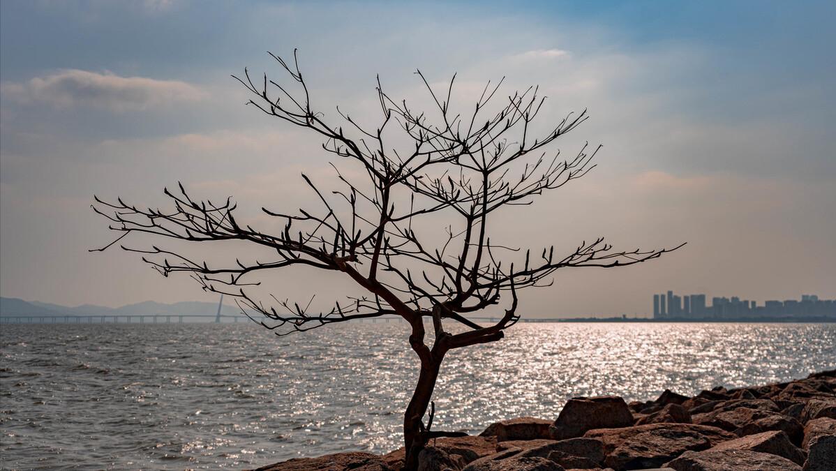 心理素质差的解决方法,心理素质差怎么调节啊