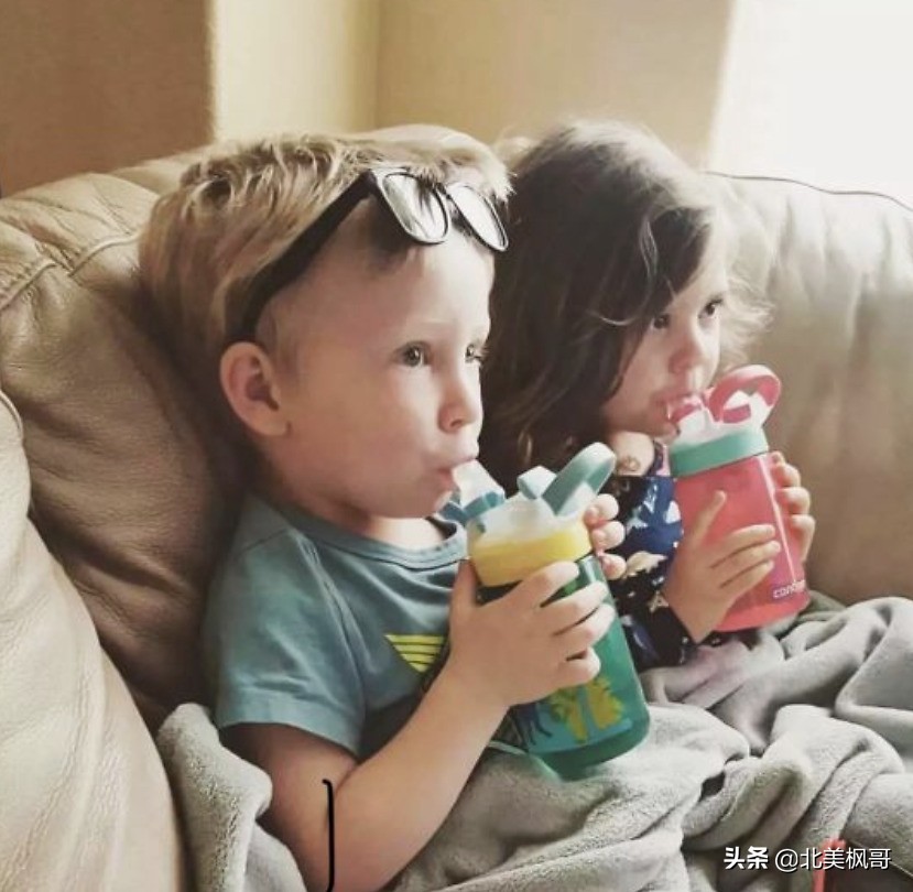 加拿大危险举措,加拿大食品安全存在问题有哪些