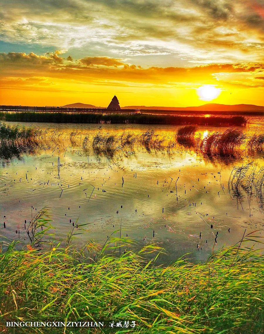 再返富锦，为着那份飘着稻花香的“湿”意约定