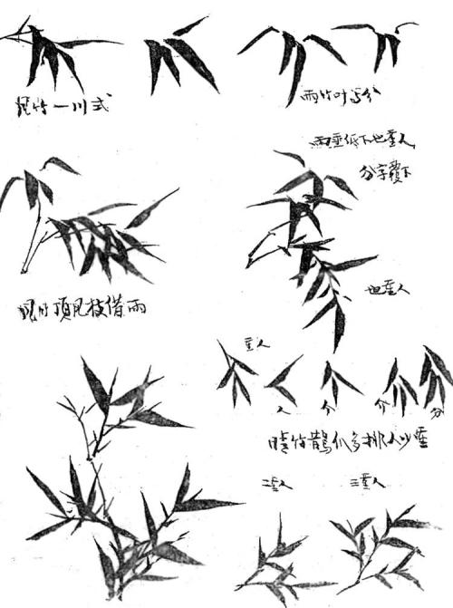国画初学者学画竹教程,国画如何画竹子教程图解