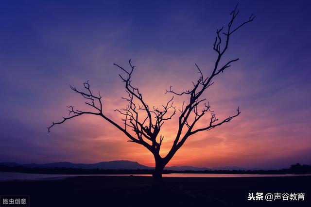 什么叫工作到位非常深刻,什么叫工作到位的感想