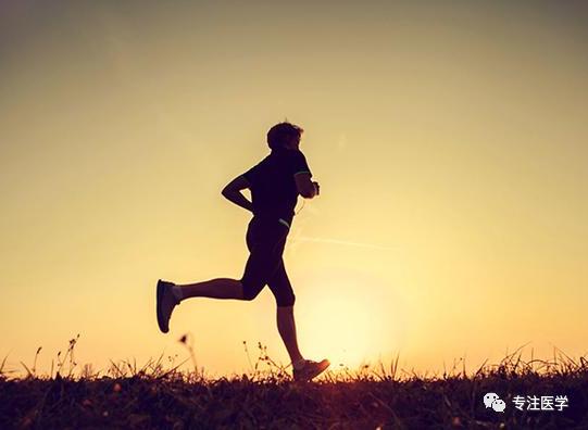 肥胖的诊断标准是,肥胖诊断与治疗流程