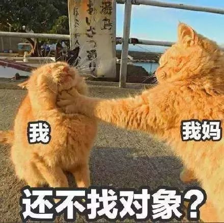 口腔医生的心酸历程,口腔医生眼里的光