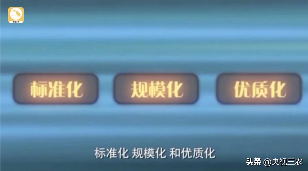 水稻倒伏怎么防止发芽,水稻可以用二甲四氯钠防止倒伏吗