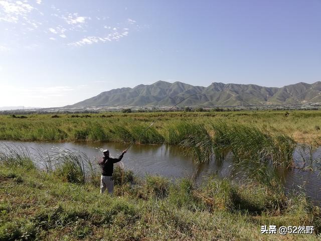 蛙鸣声入耳全文,蛙鸣悠扬音频