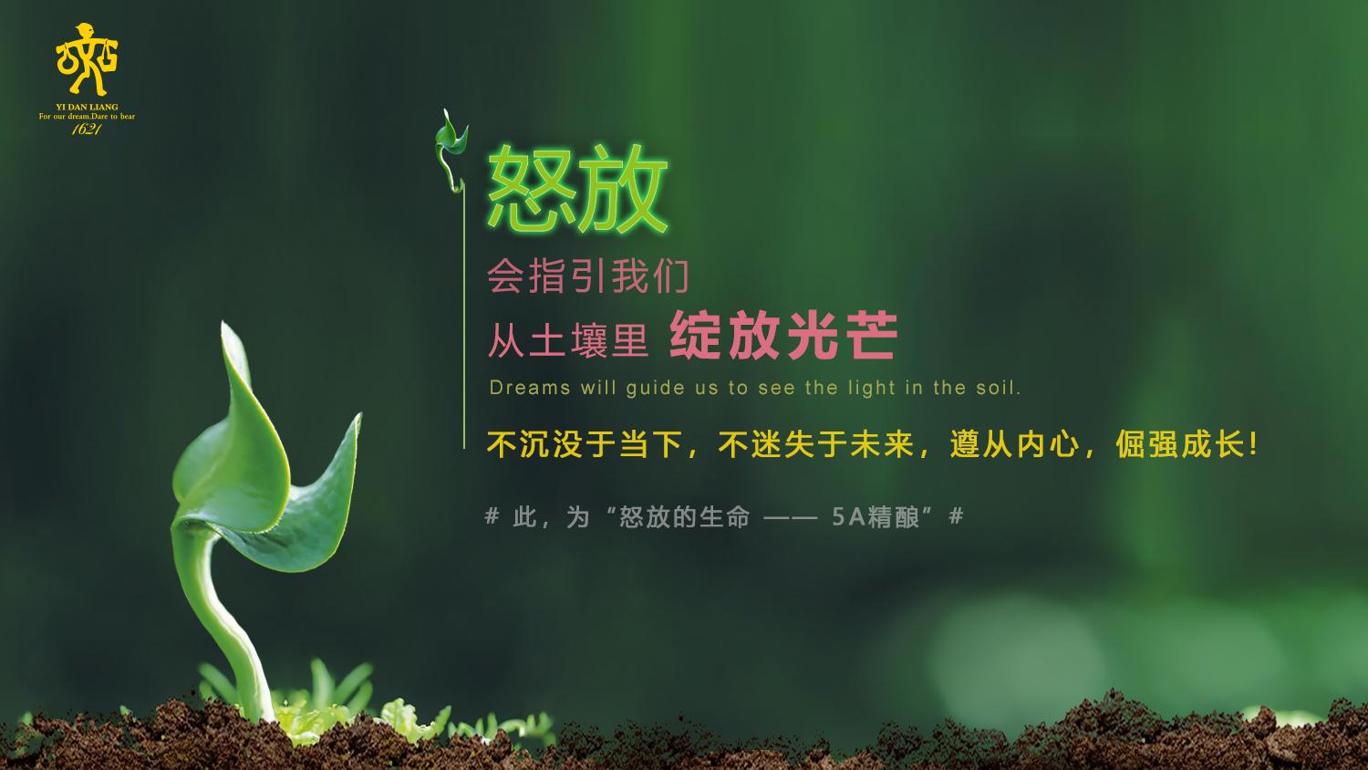 怒放的生命二锅头,5a精酿一担粮二锅头评测