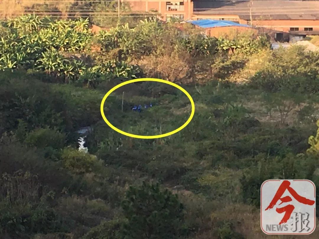 警方回应自闭症男孩走失5天,柳州自闭症男孩走失