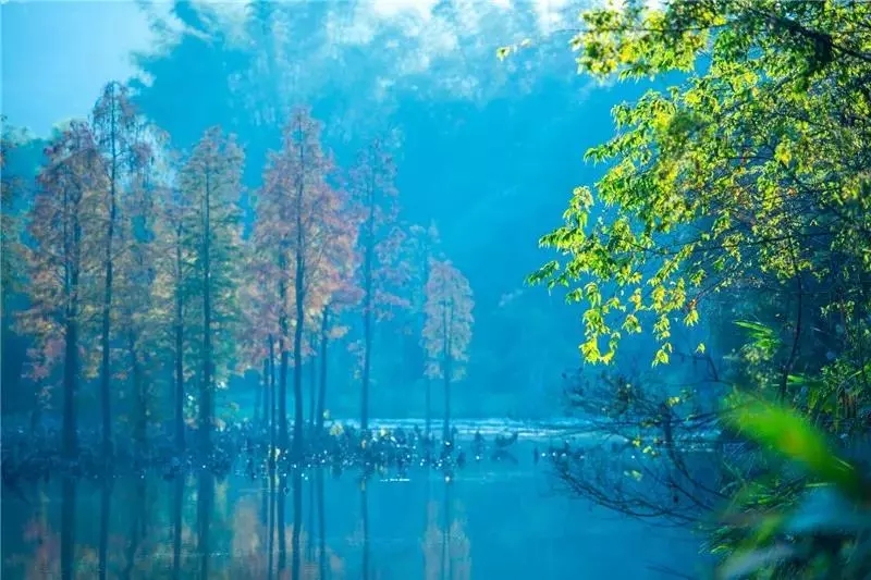 深圳周边私人温泉酒店,深圳东部华侨城温泉茵特拉根温泉