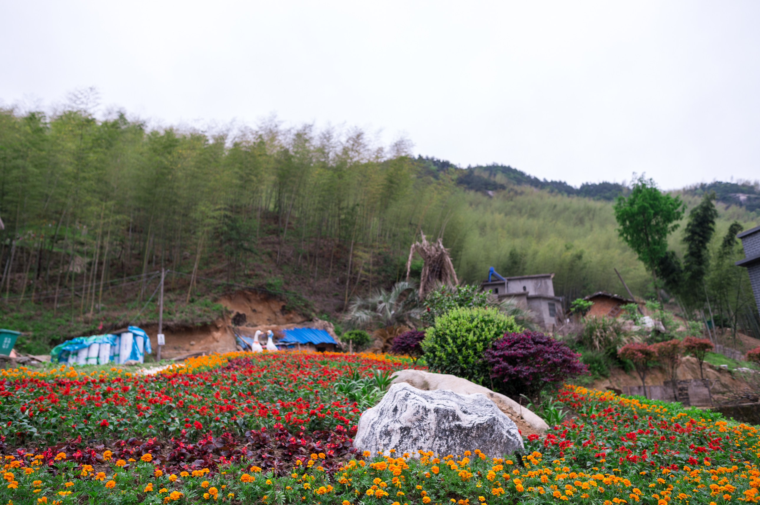 天柱天仙峡,天柱山天仙峡风景图