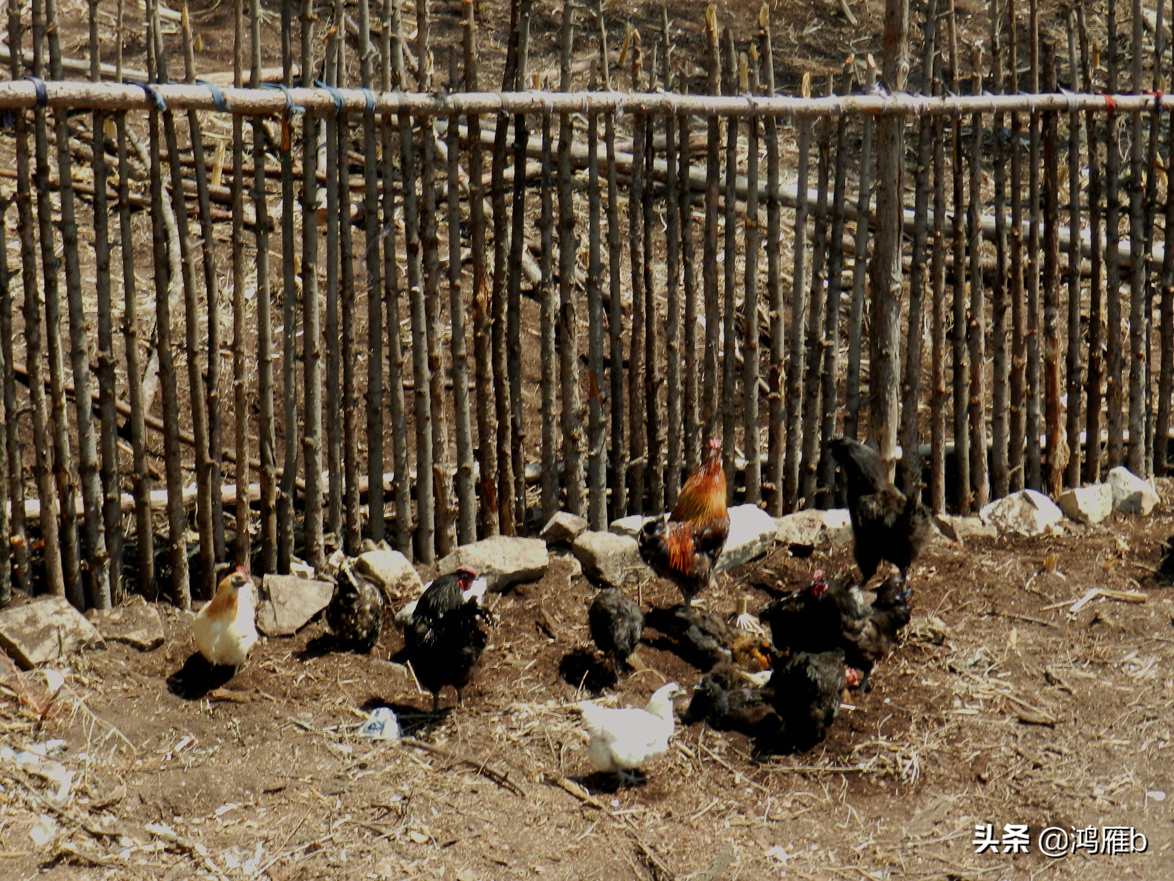 本溪小众秘境,本溪神秘山村