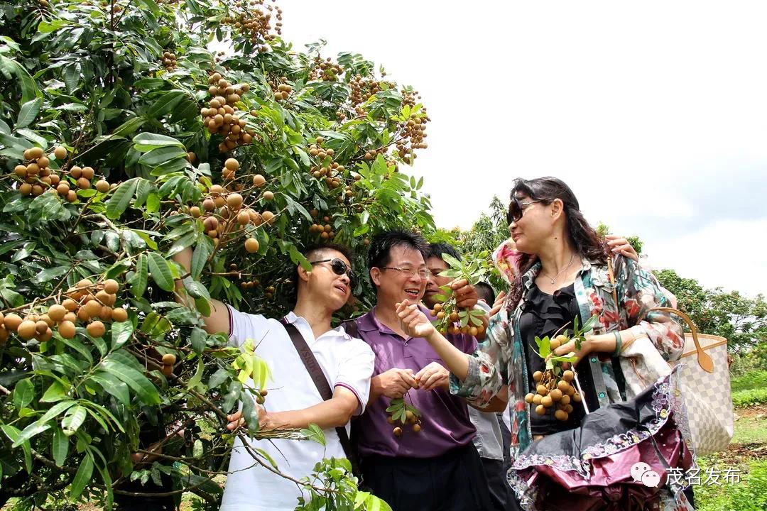 夏天的甜蜜延续到秋天,夏天的甜蜜甜在嘴里恋在心里