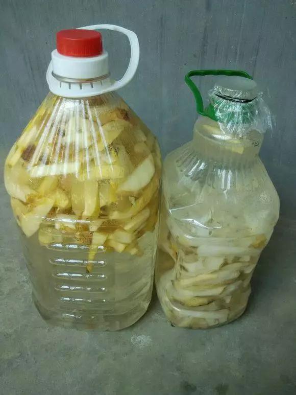 花儿闷根了怎么办,花儿栽上一天就蔫了怎么养护