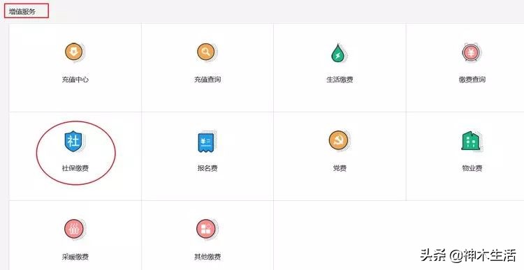 陕西神木医疗保险怎么缴费,陕西省神木市医疗保险缴费