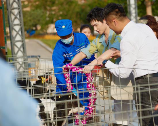 国际认证无添加酸奶,酸奶sgs认证