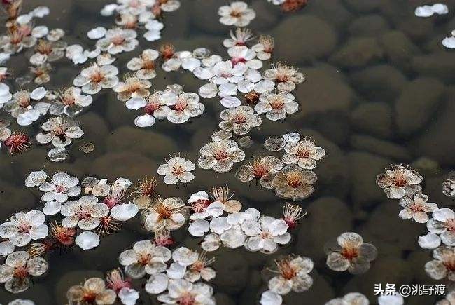 上联一日情深求下联,上联一寸相思一寸泪如何对下联