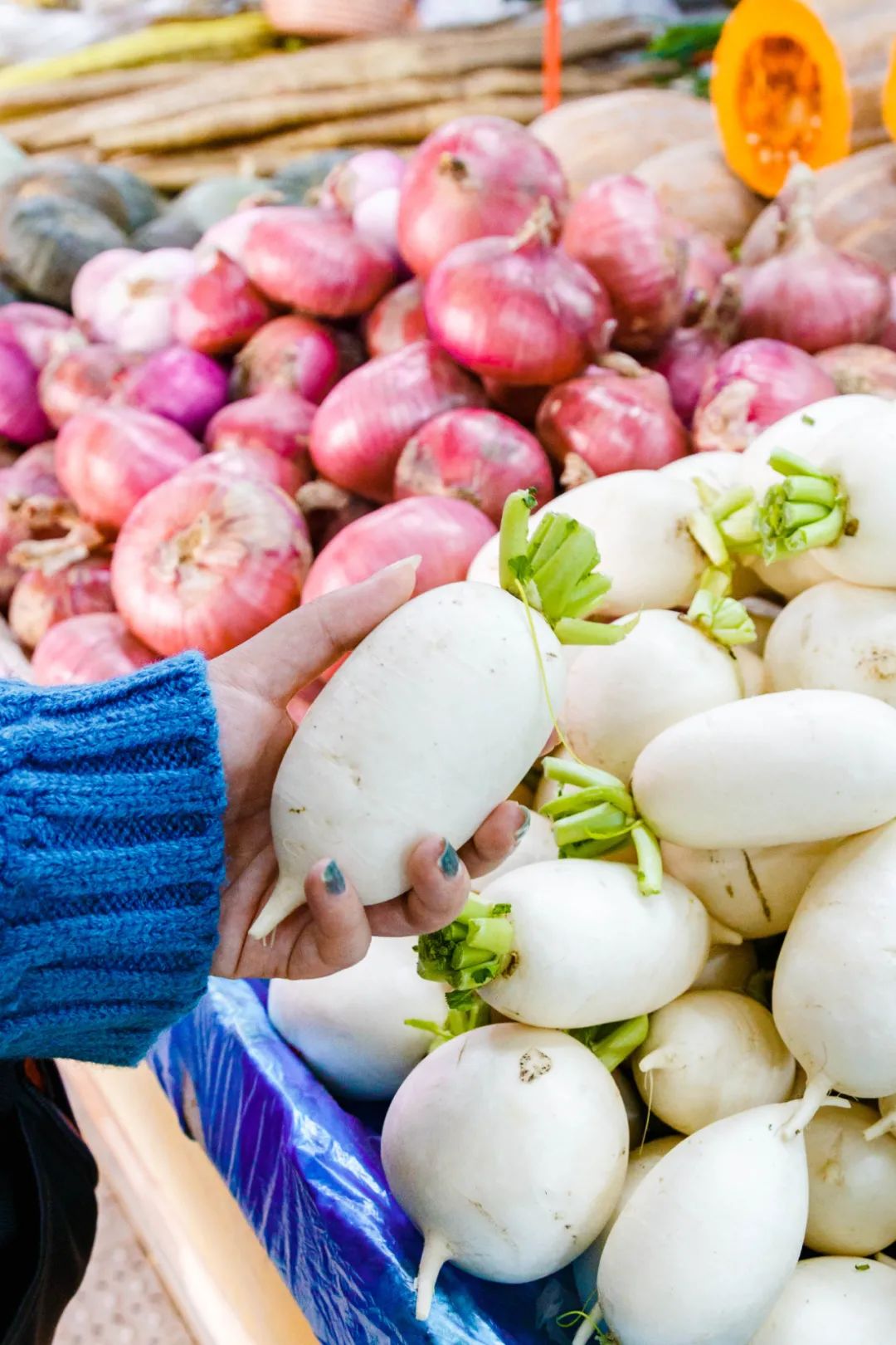 南京好吃的菜场推荐,南京有名的菜市场有哪些