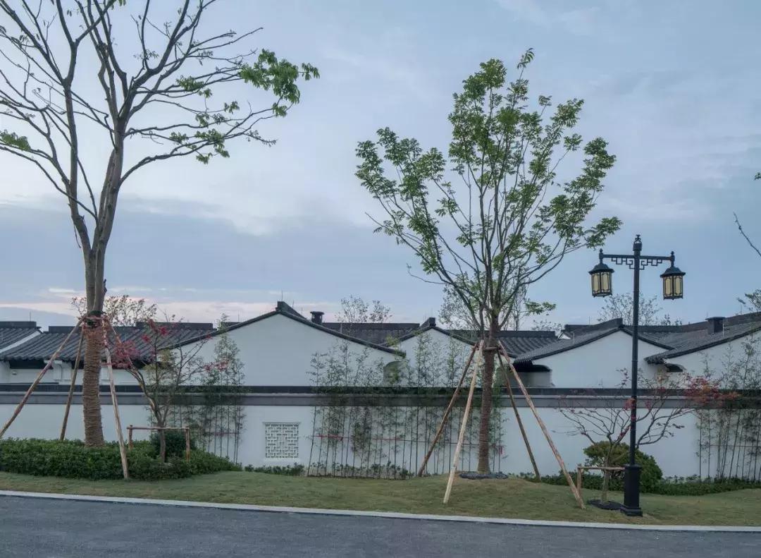 安吉桃花源芳竹园户型,绿城安吉桃花源隐竹园