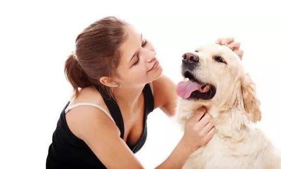 “撸狗”一时爽，一直撸一直爽！常摸它这几个地方，狗狗超爱你的