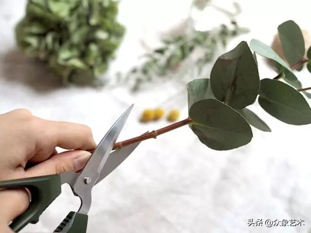 干花布置省钱,什么花适合做干花