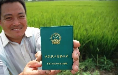 想致富找项目,想致富创业项目