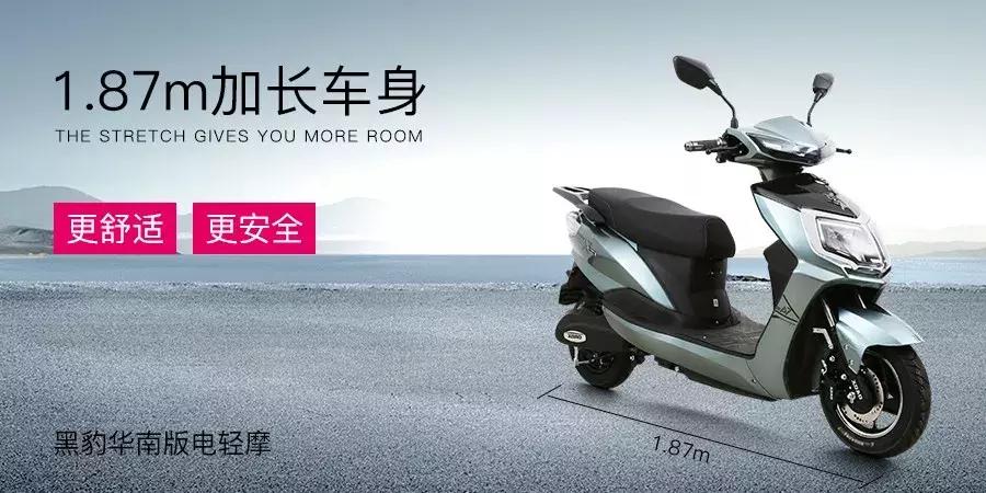 V为大观，一场来自华南的感官之旅