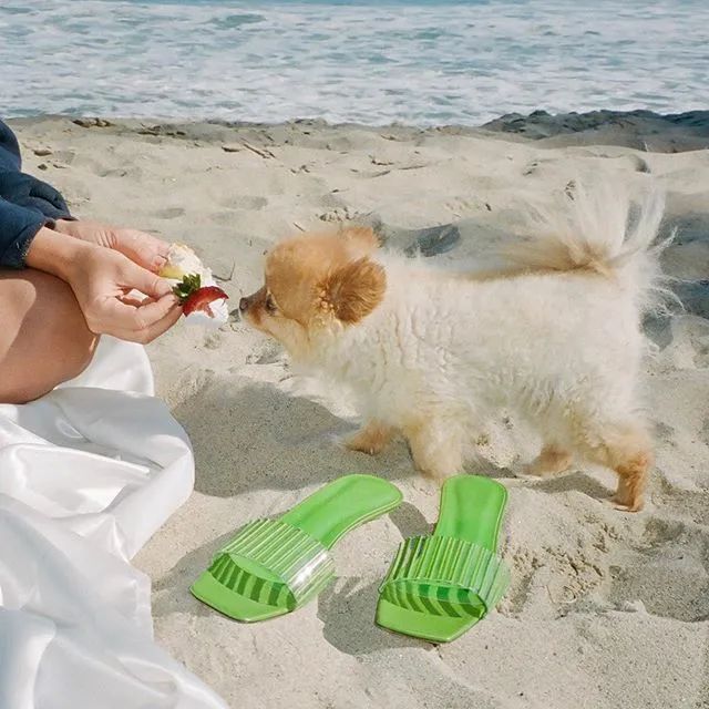 今年最流行的方跟凉鞋,又好看又好穿的凉鞋