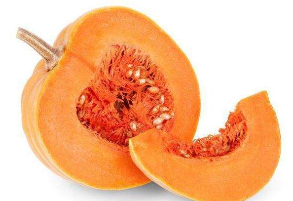 养狗的狗狗能吃什么,养狗知识大全不咬人